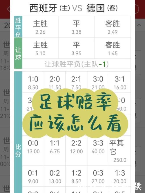 世界杯下注APP：高赔率的可靠选择推荐